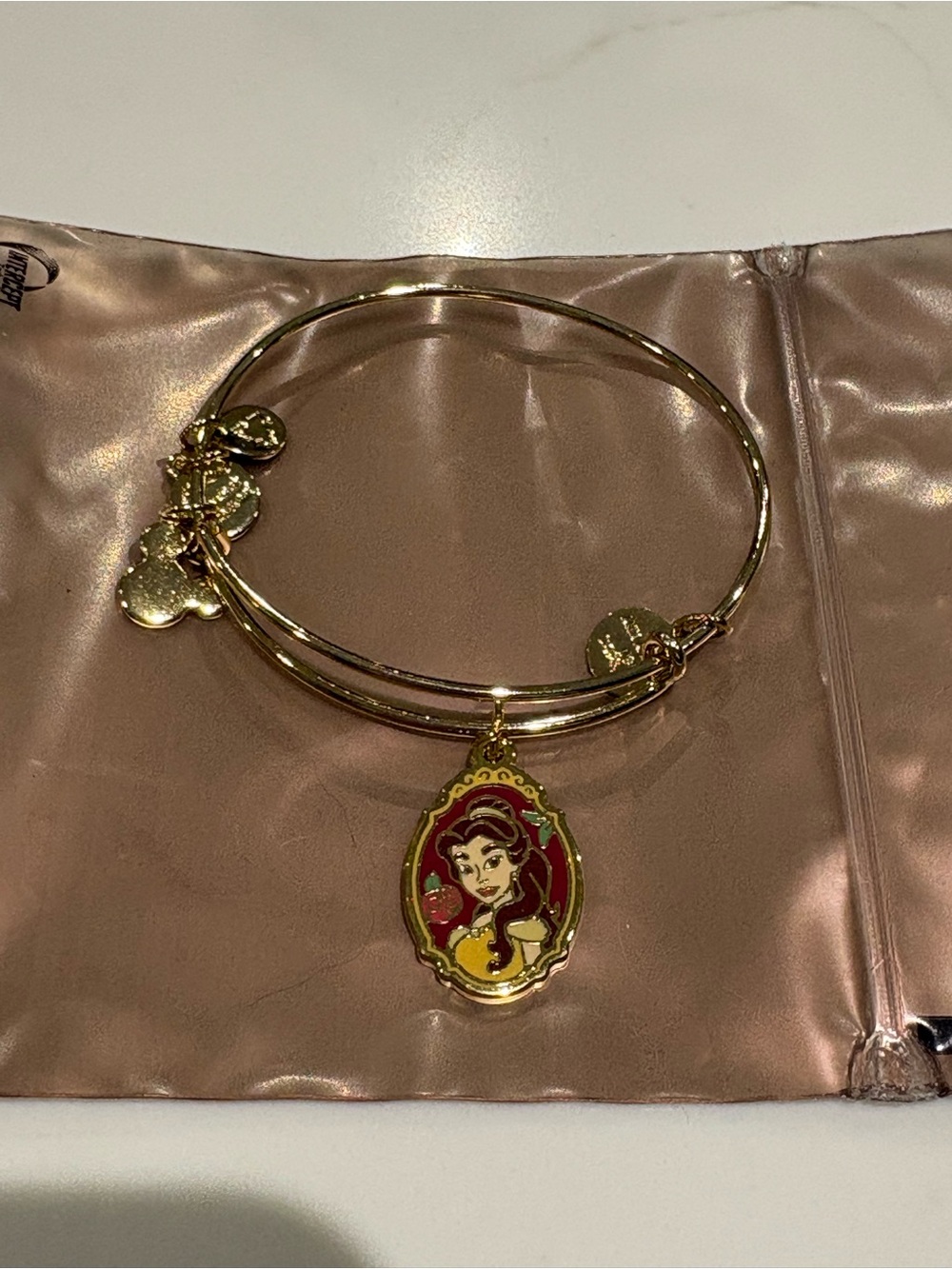 Disney Parks Alex and Ani Beauty & the Beast Belle Double Sided Charm Bangle